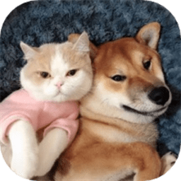 萌宠翻译器手机版