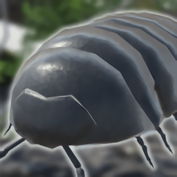 圆滚滚朋友手机版