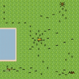 蚂蚁的生活手游