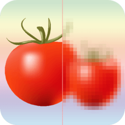 马赛克打码专家手机版