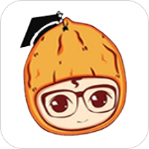手机版核桃ai app