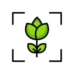 专注自律最新版