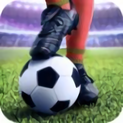 足球锦标赛无限金币版