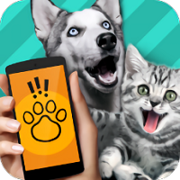 鸟语翻译器app(pet translator)
