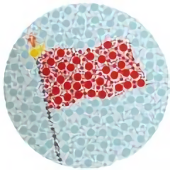 小马色盲检测app