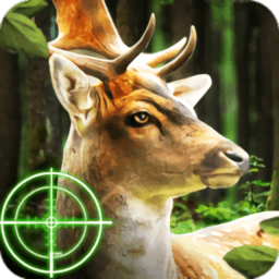 猎鹿动物狩猎官方版