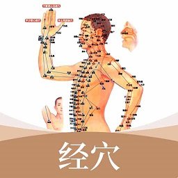 经络穴位手机版