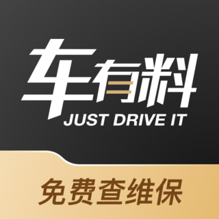 车有料查询记录