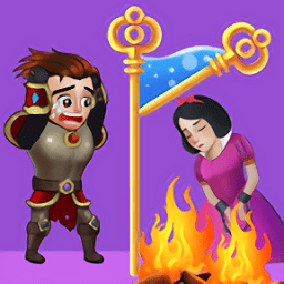 英雄别针拯救公主游戏