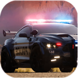 警车停车和驾驶游戏