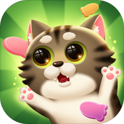 指尖喵喵手机版