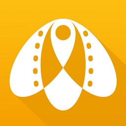 影火虫电影票平台