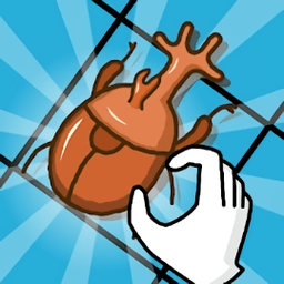 抓昆虫大赛游戏