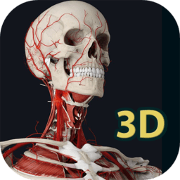 human anatomy 3d软件